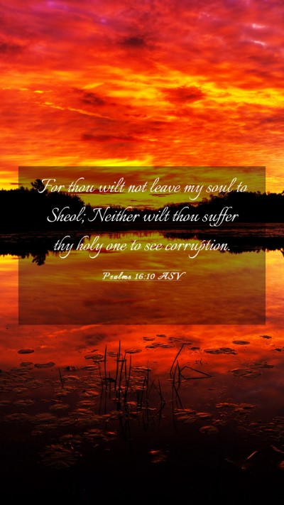 Picture 03 - Psalms 16:10 ASV Mobile Phone Wallpaper - For thou wilt not leave my soul to Sheol; Neither - Mobile Bible Verse Wallpaper