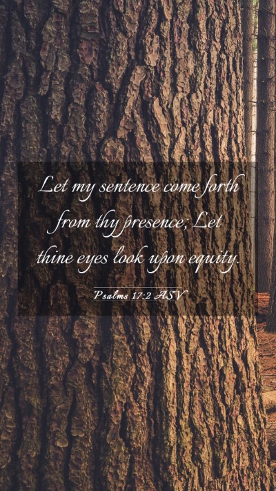 Picture 03 - Psalms 17:2 ASV Mobile Phone Wallpaper - Let my sentence come forth from thy presence; Let - Mobile Bible Verse Wallpaper