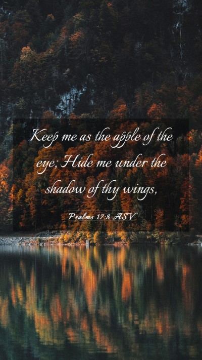Picture 03 - Psalms 17:8 ASV Mobile Phone Wallpaper - Keep me as the apple of the eye; Hide me under - Mobile Bible Verse Wallpaper
