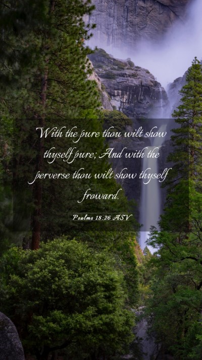 Picture 03 - Psalms 18:26 ASV Mobile Phone Wallpaper - With the pure thou wilt show thyself pure; And - Mobile Bible Verse Wallpaper