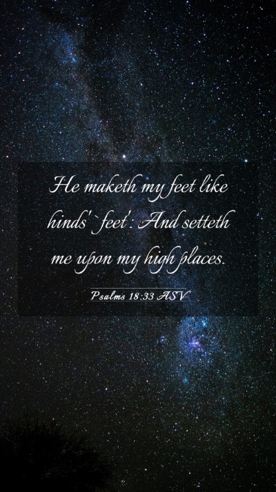 Picture 03 - Psalms 18:33 ASV Mobile Phone Wallpaper - He maketh my feet like hinds' `feet': And setteth - Mobile Bible Verse Wallpaper