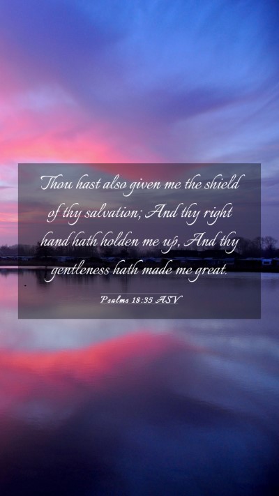 Picture 03 - Psalms 18:35 ASV Mobile Phone Wallpaper - Thou hast also given me the shield of thy - Mobile Bible Verse Wallpaper