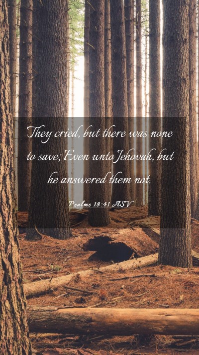 Picture 03 - Psalms 18:41 ASV Mobile Phone Wallpaper - They cried, but there was none to save; Even unto - Mobile Bible Verse Wallpaper