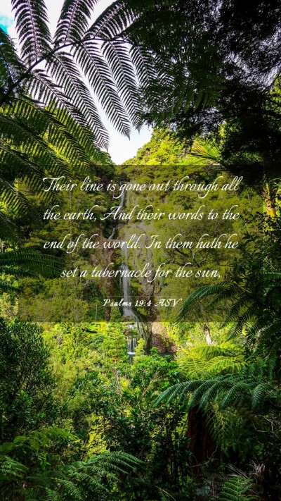 Picture 03 - Psalms 19:4 ASV Mobile Phone Wallpaper - Their line is gone out through all the earth, And - Mobile Bible Verse Wallpaper