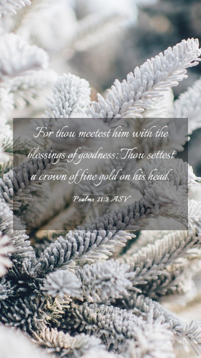 Picture 03 - Psalms 21:3 ASV Mobile Phone Wallpaper - For thou meetest him with the blessings of - Mobile Bible Verse Wallpaper