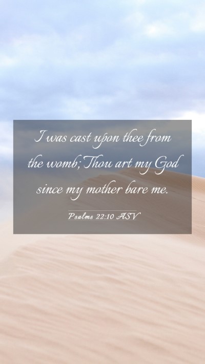 Picture 03 - Psalms 22:10 ASV Mobile Phone Wallpaper - I was cast upon thee from the womb; Thou art my - Mobile Bible Verse Wallpaper