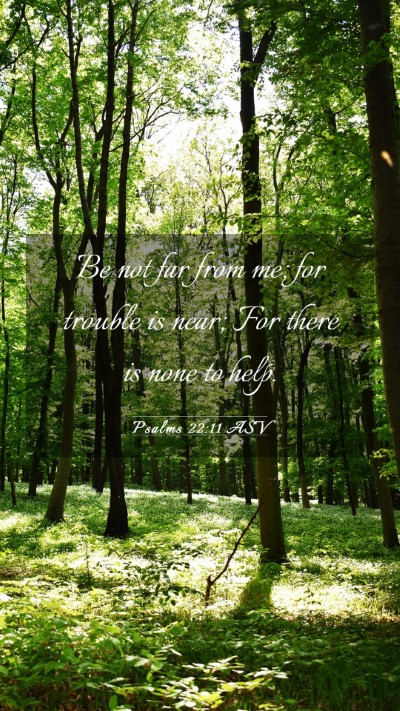 Picture 03 - Psalms 22:11 ASV Mobile Phone Wallpaper - Be not far from me; for trouble is near; For - Mobile Bible Verse Wallpaper