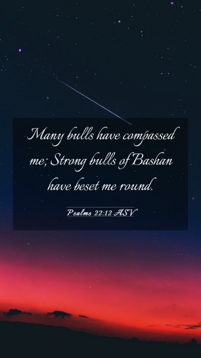 Picture 03 - Psalms 22:12 ASV Mobile Phone Wallpaper - Many bulls have compassed me; Strong bulls of - Mobile Bible Verse Wallpaper