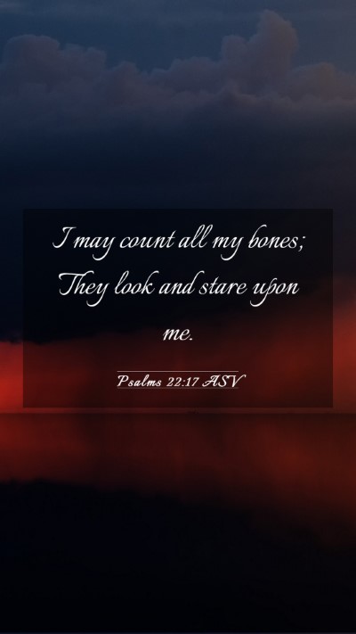 Picture 03 - Psalms 22:17 ASV Mobile Phone Wallpaper - I may count all my bones; They look and stare - Mobile Bible Verse Wallpaper