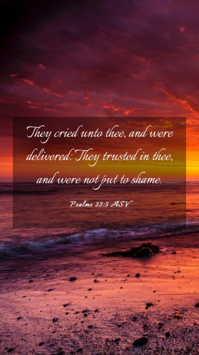 Picture 03 - Psalms 22:5 ASV Mobile Phone Wallpaper - They cried unto thee, and were delivered: They - Mobile Bible Verse Wallpaper