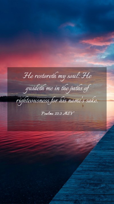 Picture 03 - Psalms 23:3 ASV Mobile Phone Wallpaper - He restoreth my soul: He guideth me in the paths - Mobile Bible Verse Wallpaper