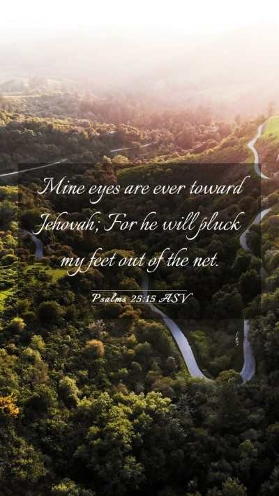 Picture 03 - Psalms 25:15 ASV Mobile Phone Wallpaper - Mine eyes are ever toward Jehovah; For he will - Mobile Bible Verse Wallpaper