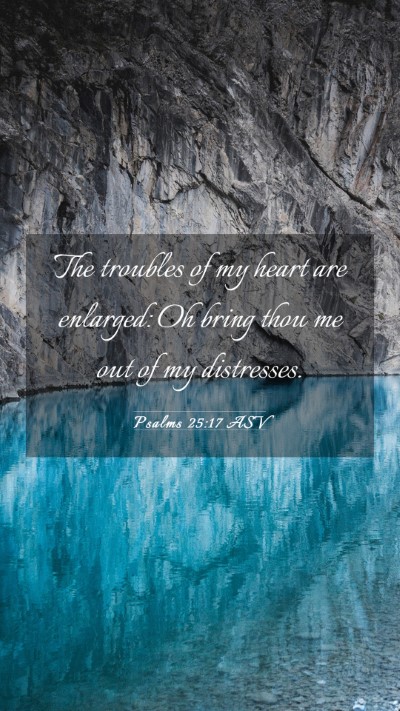 Picture 03 - Psalms 25:17 ASV Mobile Phone Wallpaper - The troubles of my heart are enlarged: Oh bring - Mobile Bible Verse Wallpaper