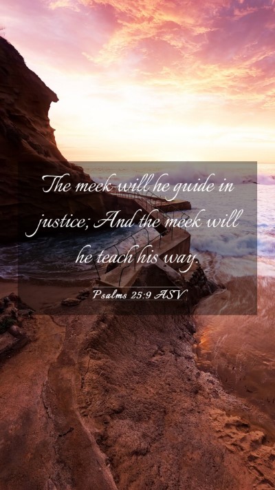 Picture 03 - Psalms 25:9 ASV Mobile Phone Wallpaper - The meek will he guide in justice; And the meek - Mobile Bible Verse Wallpaper