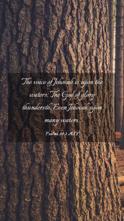 Picture 03 - Psalms 29:3 ASV Mobile Phone Wallpaper - The voice of Jehovah is upon the waters: The God - Mobile Bible Verse Wallpaper