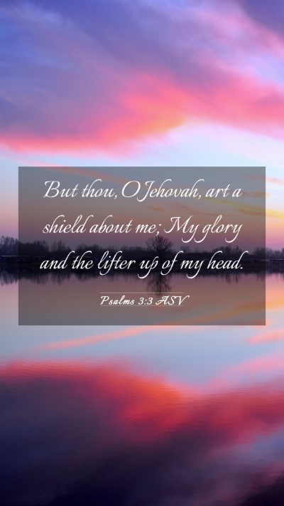 Picture 03 - Psalms 3:3 ASV Mobile Phone Wallpaper - But thou, O Jehovah, art a shield about me; My - Mobile Bible Verse Wallpaper