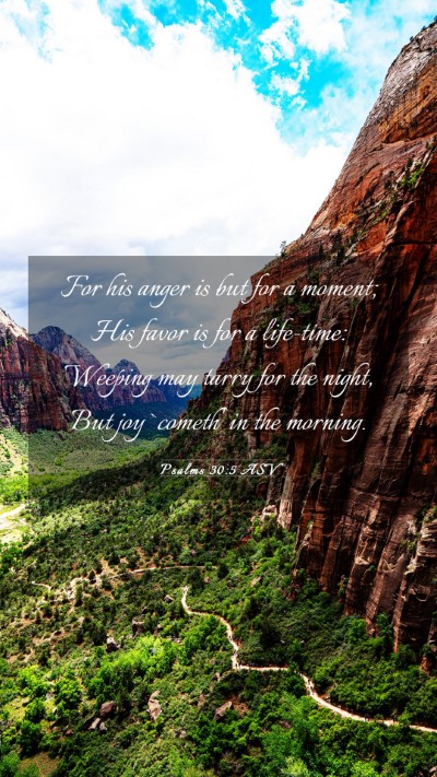 Picture 03 - Psalms 30:5 ASV Mobile Phone Wallpaper - For his anger is but for a moment; His favor is - Mobile Bible Verse Wallpaper