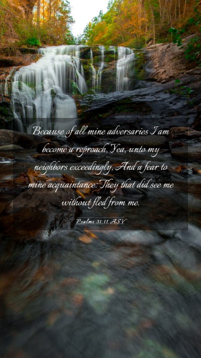 Picture 03 - Psalms 31:11 ASV Mobile Phone Wallpaper - Because of all mine adversaries I am become a - Mobile Bible Verse Wallpaper