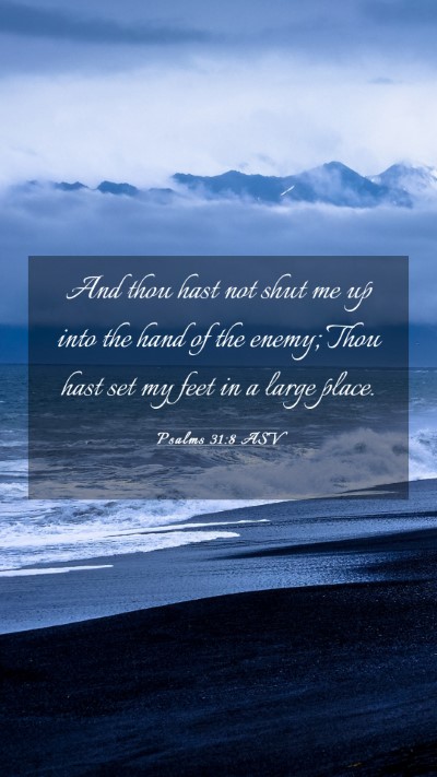 Picture 03 - Psalms 31:8 ASV Mobile Phone Wallpaper - And thou hast not shut me up into the hand of the - Mobile Bible Verse Wallpaper
