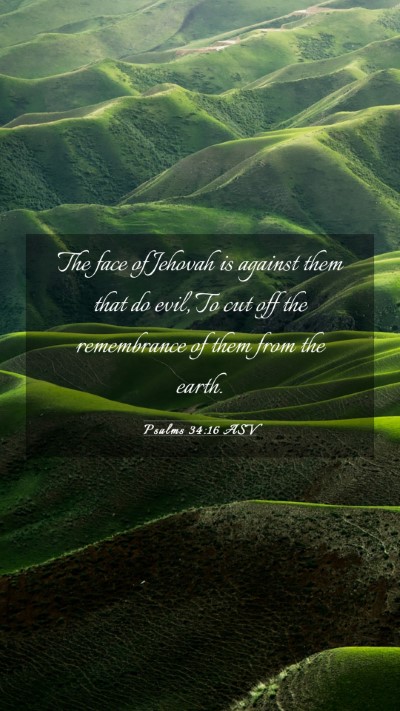 Picture 03 - Psalms 34:16 ASV Mobile Phone Wallpaper - The face of Jehovah is against them that do evil, - Mobile Bible Verse Wallpaper