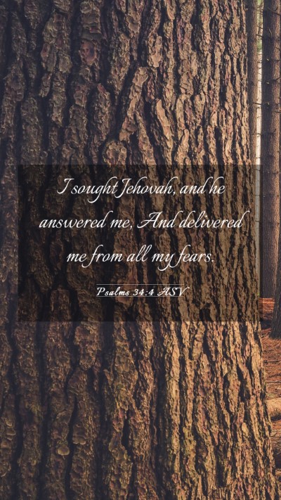 Picture 03 - Psalms 34:4 ASV Mobile Phone Wallpaper - I sought Jehovah, and he answered me, And - Mobile Bible Verse Wallpaper
