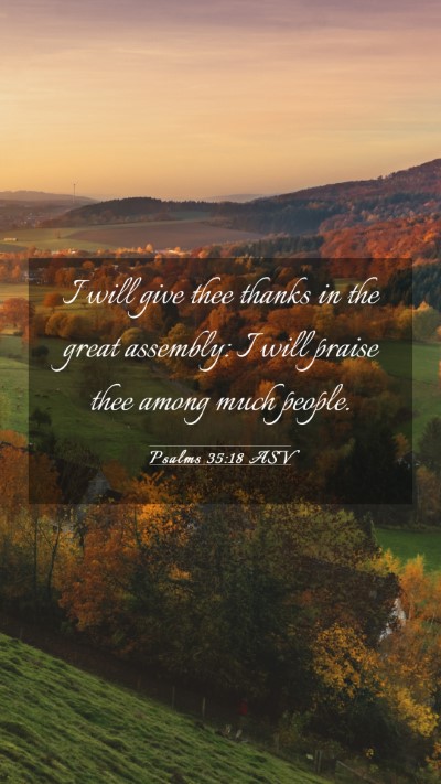 Picture 03 - Psalms 35:18 ASV Mobile Phone Wallpaper - I will give thee thanks in the great assembly: I - Mobile Bible Verse Wallpaper