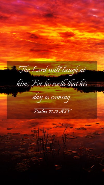 Picture 03 - Psalms 37:13 ASV Mobile Phone Wallpaper - The Lord will laugh at him; For he seeth that his - Mobile Bible Verse Wallpaper