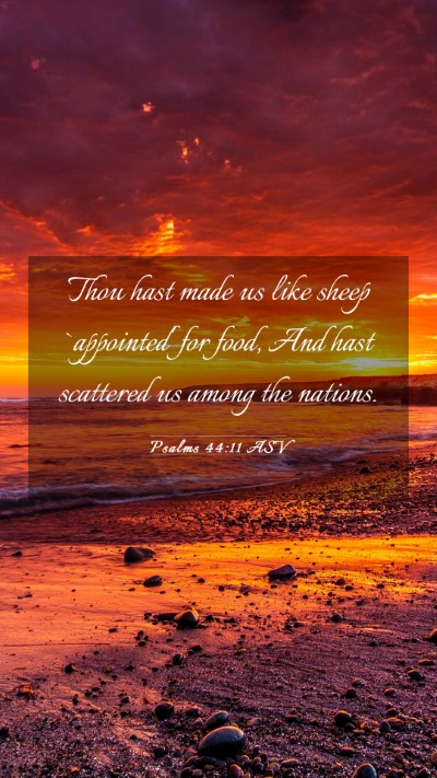 Picture 03 - Psalms 44:11 ASV Mobile Phone Wallpaper - Thou hast made us like sheep `appointed' for - Mobile Bible Verse Wallpaper