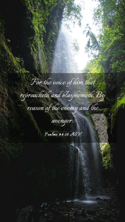 Picture 03 - Psalms 44:16 ASV Mobile Phone Wallpaper - For the voice of him that reproacheth and - Mobile Bible Verse Wallpaper