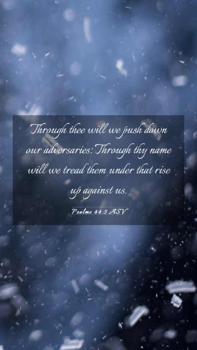 Picture 03 - Psalms 44:5 ASV Mobile Phone Wallpaper - Through thee will we push down our adversaries: - Mobile Bible Verse Wallpaper