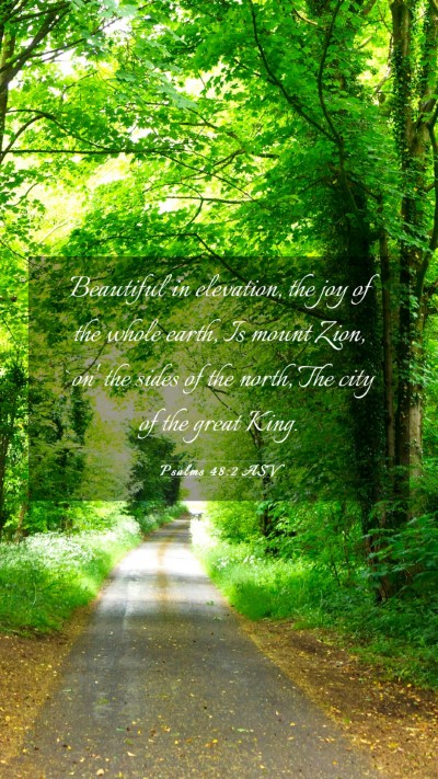 Picture 03 - Psalms 48:2 ASV Mobile Phone Wallpaper - Beautiful in elevation, the joy of the whole - Mobile Bible Verse Wallpaper