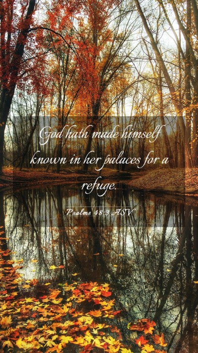 Picture 03 - Psalms 48:3 ASV Mobile Phone Wallpaper - God hath made himself known in her palaces for a - Mobile Bible Verse Wallpaper