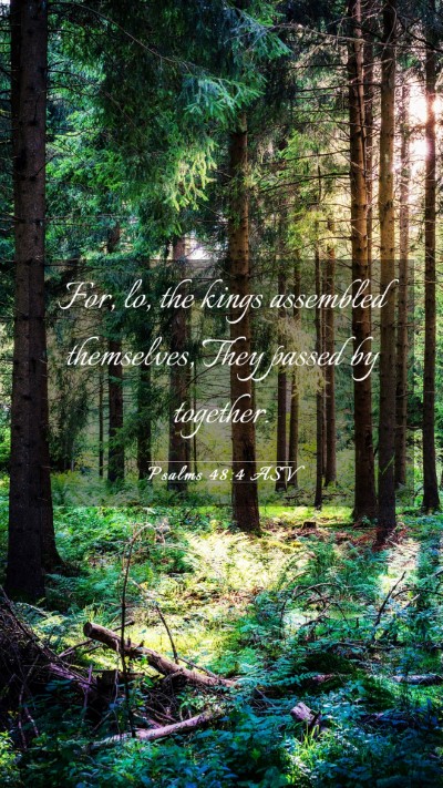 Picture 03 - Psalms 48:4 ASV Mobile Phone Wallpaper - For, lo, the kings assembled themselves, They - Mobile Bible Verse Wallpaper