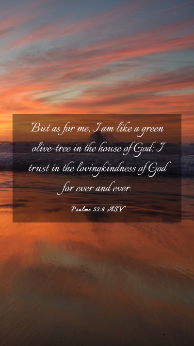 Picture 03 - Psalms 52:8 ASV Mobile Phone Wallpaper - But as for me, I am like a green olive-tree in - Mobile Bible Verse Wallpaper