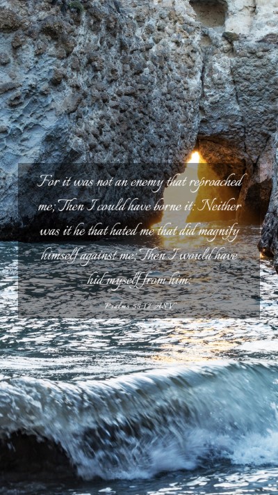 Picture 03 - Psalms 55:12 ASV Mobile Phone Wallpaper - For it was not an enemy that reproached me; Then - Mobile Bible Verse Wallpaper