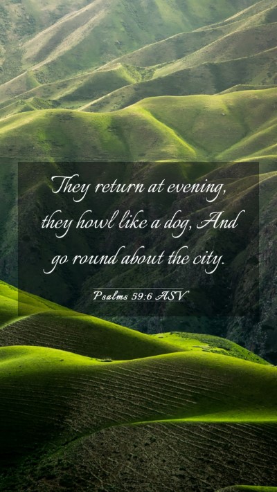 Picture 03 - Psalms 59:6 ASV Mobile Phone Wallpaper - They return at evening, they howl like a dog, And - Mobile Bible Verse Wallpaper