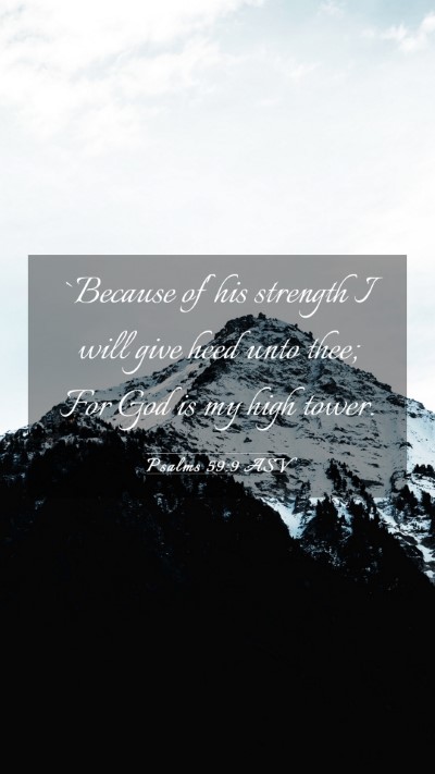 Picture 03 - Psalms 59:9 ASV Mobile Phone Wallpaper - `Because of' his strength I will give heed unto - Mobile Bible Verse Wallpaper