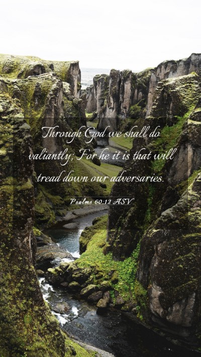 Picture 03 - Psalms 60:12 ASV Mobile Phone Wallpaper - Through God we shall do valiantly; For he it is - Mobile Bible Verse Wallpaper