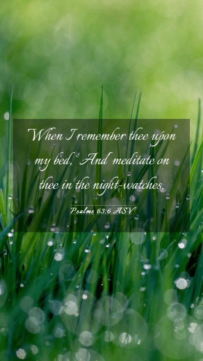 Picture 03 - Psalms 63:6 ASV Mobile Phone Wallpaper - When I remember thee upon my bed, `And' meditate - Mobile Bible Verse Wallpaper