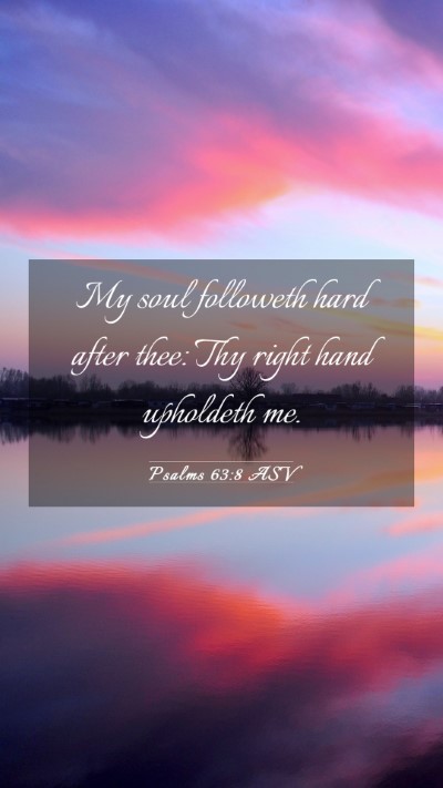 Picture 03 - Psalms 63:8 ASV Mobile Phone Wallpaper - My soul followeth hard after thee: Thy right hand - Mobile Bible Verse Wallpaper