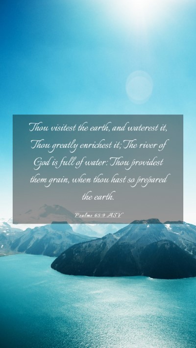 Picture 03 - Psalms 65:9 ASV Mobile Phone Wallpaper - Thou visitest the earth, and waterest it, Thou - Mobile Bible Verse Wallpaper