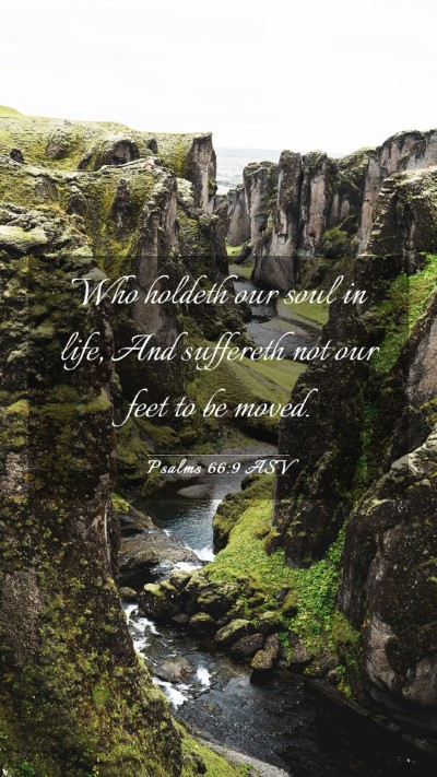 Picture 03 - Psalms 66:9 ASV Mobile Phone Wallpaper - Who holdeth our soul in life, And suffereth not - Mobile Bible Verse Wallpaper