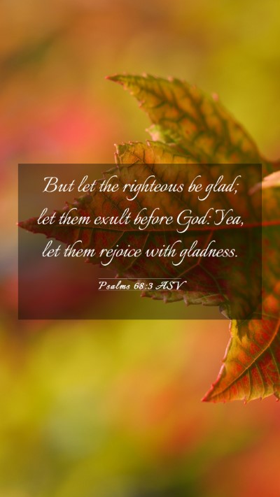 Picture 03 - Psalms 68:3 ASV Mobile Phone Wallpaper - But let the righteous be glad; let them exult - Mobile Bible Verse Wallpaper