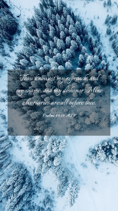 Picture 03 - Psalms 69:19 ASV Mobile Phone Wallpaper - Thou knowest my reproach, and my shame, and my - Mobile Bible Verse Wallpaper