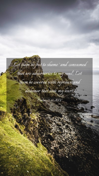 Picture 03 - Psalms 71:13 ASV Mobile Phone Wallpaper - Let them be put to shame `and' consumed that are - Mobile Bible Verse Wallpaper