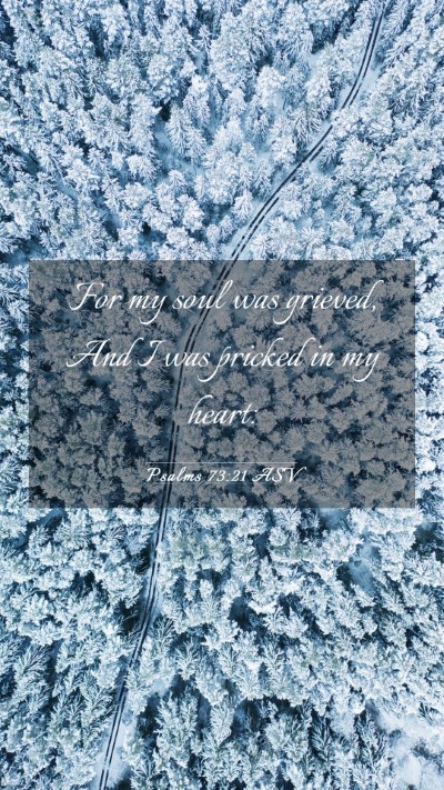 Picture 03 - Psalms 73:21 ASV Mobile Phone Wallpaper - For my soul was grieved, And I was pricked in my - Mobile Bible Verse Wallpaper