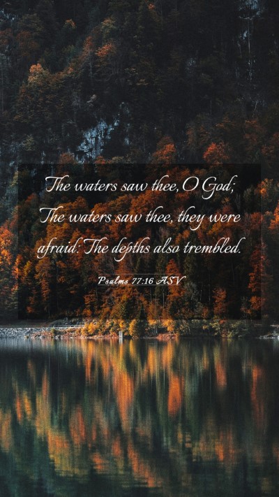 Picture 03 - Psalms 77:16 ASV Mobile Phone Wallpaper - The waters saw thee, O God; The waters saw thee, - Mobile Bible Verse Wallpaper