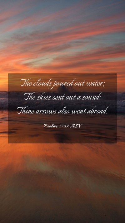 Picture 03 - Psalms 77:17 ASV Mobile Phone Wallpaper - The clouds poured out water; The skies sent out a - Mobile Bible Verse Wallpaper