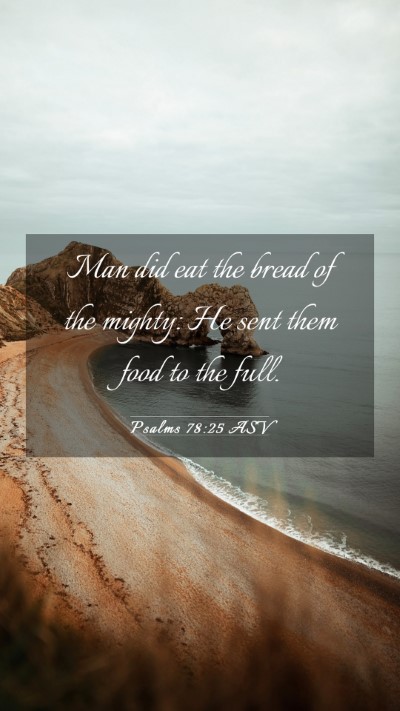 Picture 03 - Psalms 78:25 ASV Mobile Phone Wallpaper - Man did eat the bread of the mighty: He sent them - Mobile Bible Verse Wallpaper