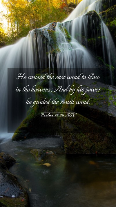 Picture 03 - Psalms 78:26 ASV Mobile Phone Wallpaper - He caused the east wind to blow in the heavens; - Mobile Bible Verse Wallpaper